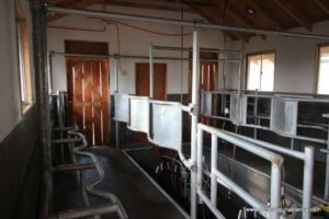 Establo para ganado lechero