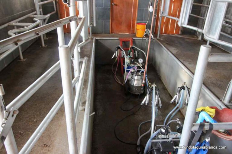 instalación de ordeño