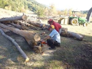 trabajo de la madera