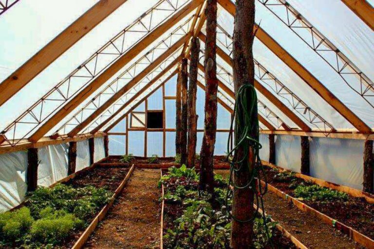 invernadero