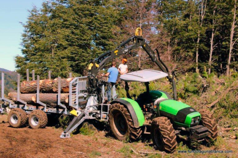 Silvicultura con tractor